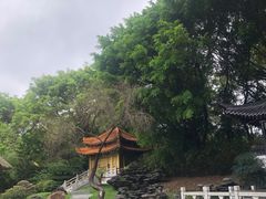 -深圳国际园林花卉博览园