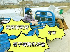 -白洋淀景区