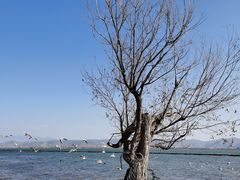 -丽江泸沽湖景区