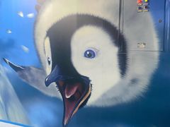 -海合安青岛极地海洋公园