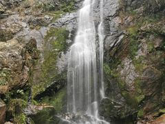 -江西阳明山国家森林公园