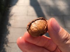 -方林富炒货店(西溪路78号本人店)
