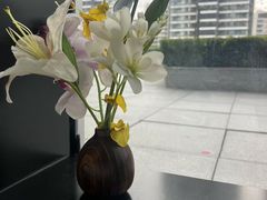 -凤凰湘语(浦东旗舰店)