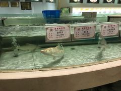 -慈溪白金汉爵大酒店