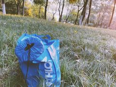 -重庆中央公园(渝北区)