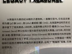 -四川大学博物馆
