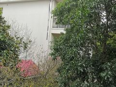 -上海银珠苑度假村-地面停车场