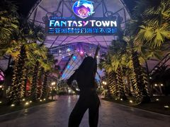 -三亚海昌梦幻海洋不夜城