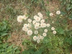 -小板凳·锦州烧烤(高新区店)