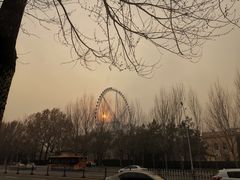 -哈尔滨文化公园