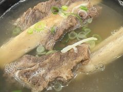 -莲洞本家