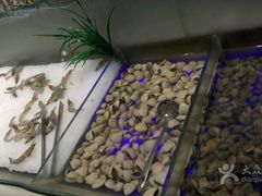 花甲-银鲨海鲜烤肉火锅自助餐厅(五星店)
