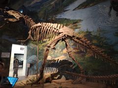 -自贡恐龙博物馆