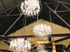 大堂-more than meow吴止猫主题餐厅(承德 中船汇店)