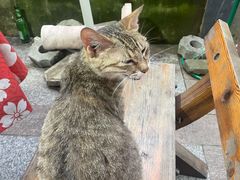 -鱼乐岛餐厅·户外花园主题餐厅