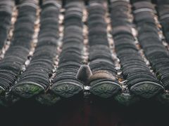 -成都杜甫草堂博物馆