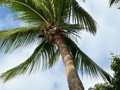 -三亚海棠湾万丽度假酒店