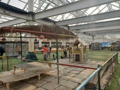 -南宫五洲植物乐园