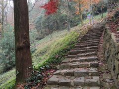 -莫干山风景区