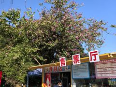 -清溪大王山森林公园