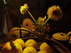 -悦哉·派对·草坪婚礼·围炉煮茶(三圣乡店)
