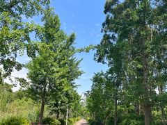 -白鹭湾湿地公园