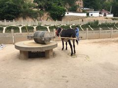 -梁家河村红色旅游区