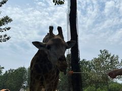 -大连森林动物园