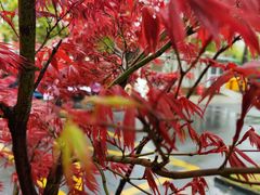 -上海爱以德护理院·康复(宝山院)