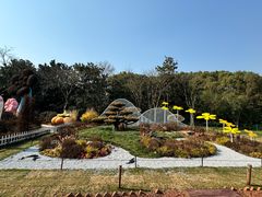 -上海共青森林公园