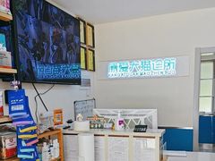 -康爱犬猫诊所·牙专科·骨外科·影像内科(丰宁店)