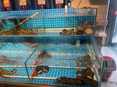 -韩记海鲜饺子旗舰店(红海新区店)