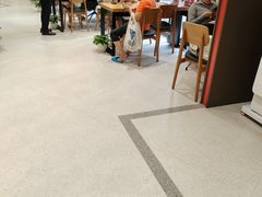 -招商银行(上海九亭支行)