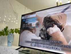 -时尚玩家发型设计