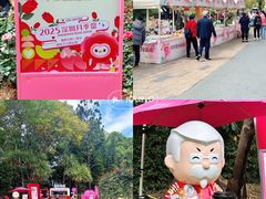 -人民公园(罗湖区)