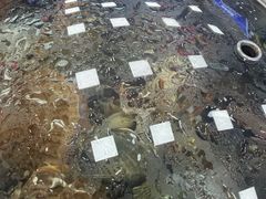 -仙螺岛海鲜自助餐厅(总店)