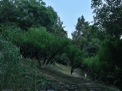 -九华山公园