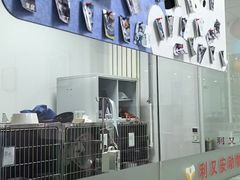 -利又安动物医院··老年病·猫科犬科·中兽医