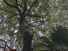 -敬亭山风景名胜区