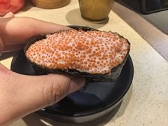 -昊·来了寿司(泡桐树店)