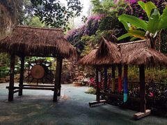 -西双版纳基诺山寨