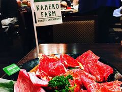 -俺的焼肉(銀座9丁目店)