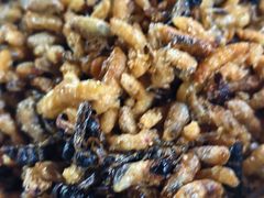 -曹苏黄牛汤锅(傣苑店)