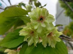 -新天地活力PARK