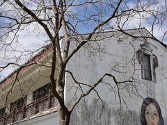 -柳鹭田园区