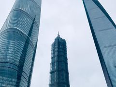 -上海和平饭店华懋阁 Cathay Room