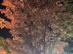 -南长河公园