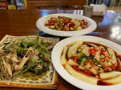 -龙翔山庄雷鸡肉(青城后山泰安古镇店)