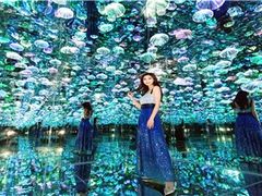 -杭州西湖星空魔幻城(星空艺术馆品牌旗舰店)