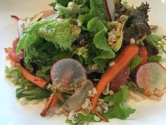 Ricci Cafe(五道口店)-Ricci睿奇美式餐厅(五道口店)